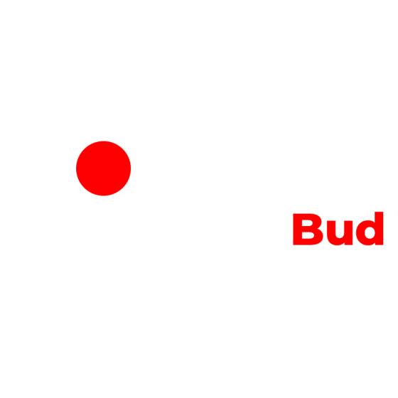 ChemBud 02 - Extra mocny klej do papieru i drewna RED 250ml Q7620