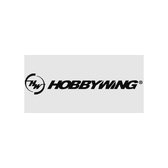 Hobbywing HW30408010 - Silnik beszczotkowy Justock G2.1 13.5T czarny - 016331