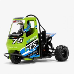 X-Rider Flamingo Trike – Green